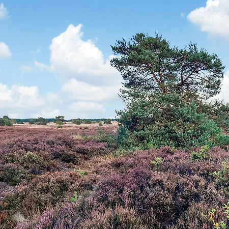 2 Bedroom Awesome In Vakantiehuis Voorthuizen