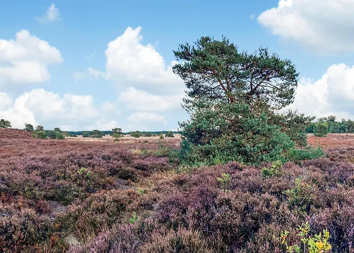 2 Bedroom Awesome In Feriehus Voorthuizen